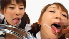 Japanese Asian Mature Giving Blowjob To Lucky Guy