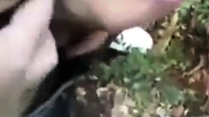 Outdoor Cruising Amateur Video