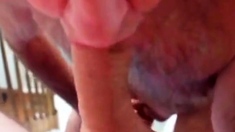 Grandpa Blowjob Series - 37