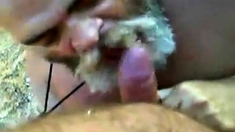 Bearded daddy blow job